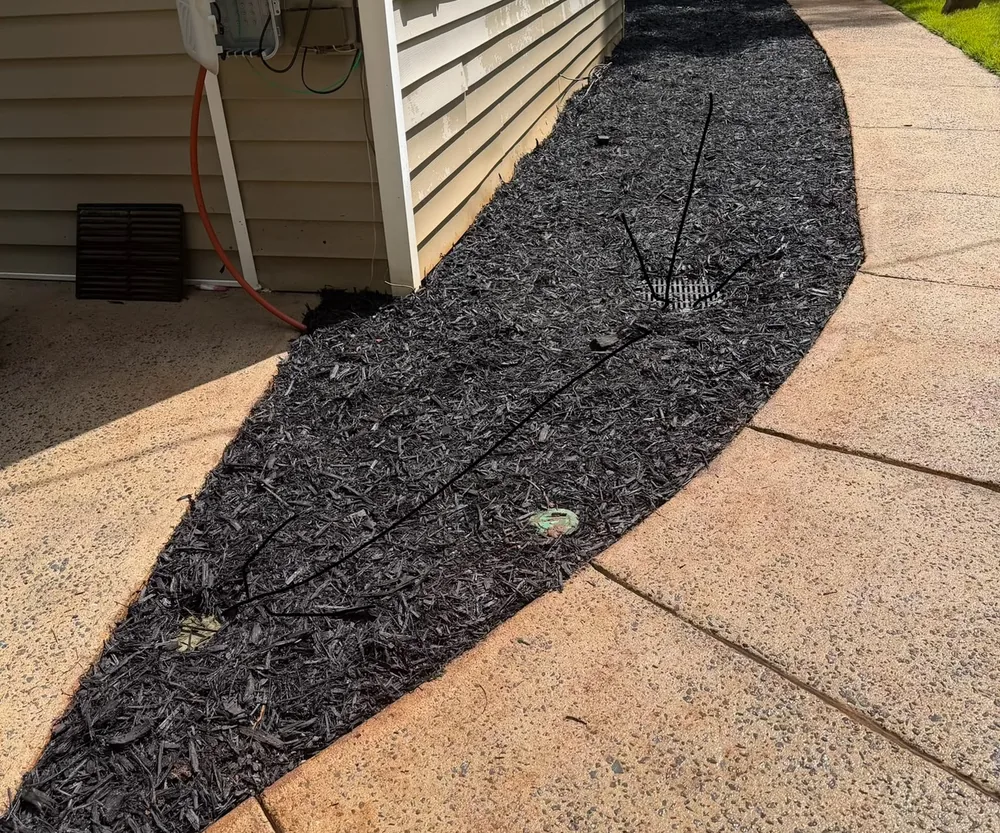 Finished landscape bed with dark mulch beside a home